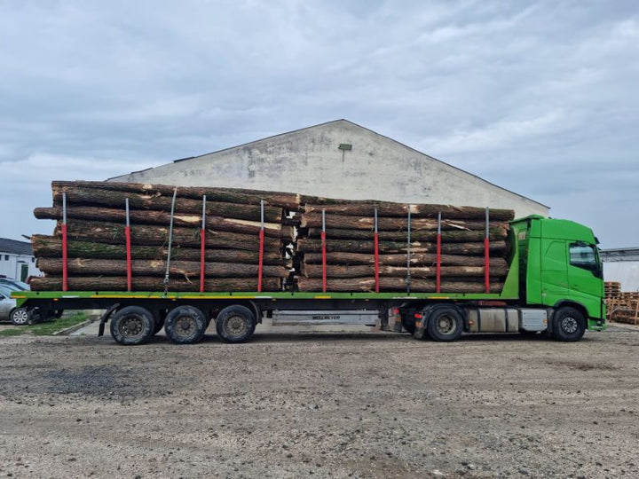 Bois de Chauffage Acacia – Camion de 50 Stères – Prêt à l’Emploi