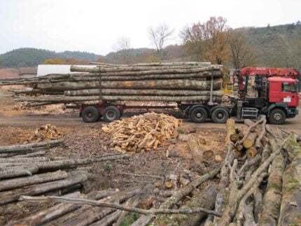 Chêne en Grume – Camion de 50 Stères – Bois de Chauffage Idéal