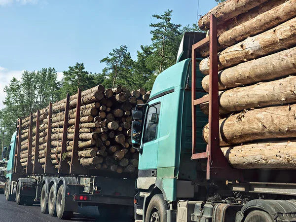 Frêne en Grume – Camion de 50 Stères – Bois de Chauffage Idéal